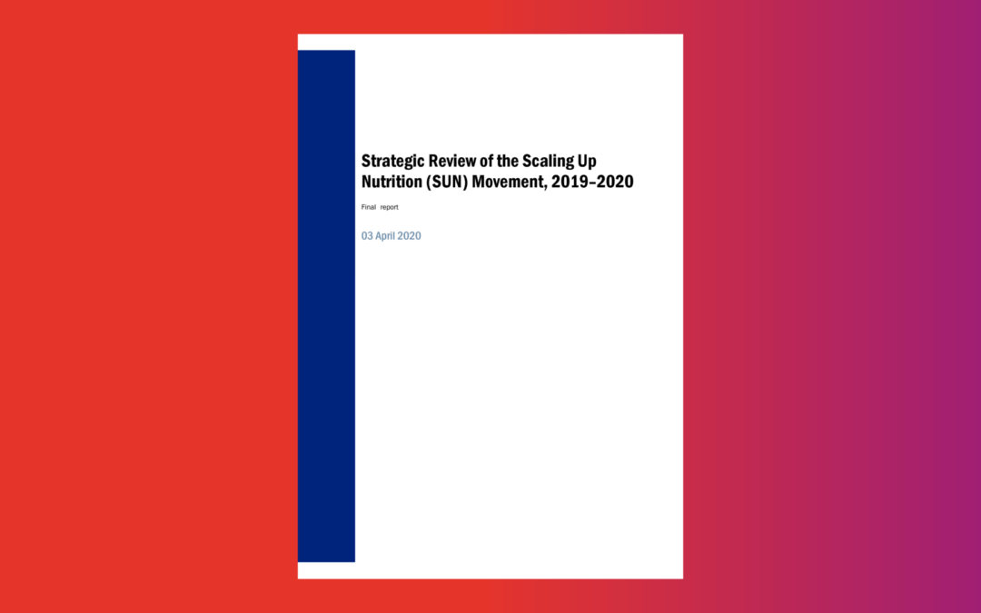 SUN – Strategic Review Final Report