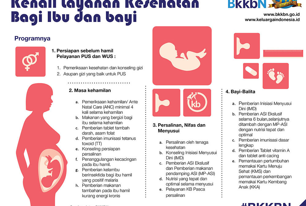 Get to Know Health Services for Mothers and Babies