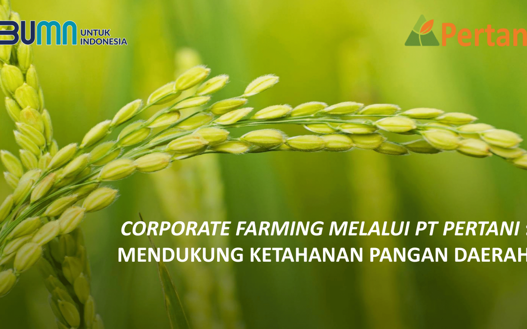 Corporate Farming Melalui PT Pertani: Mendukung Ketahanan Pangan Daerah