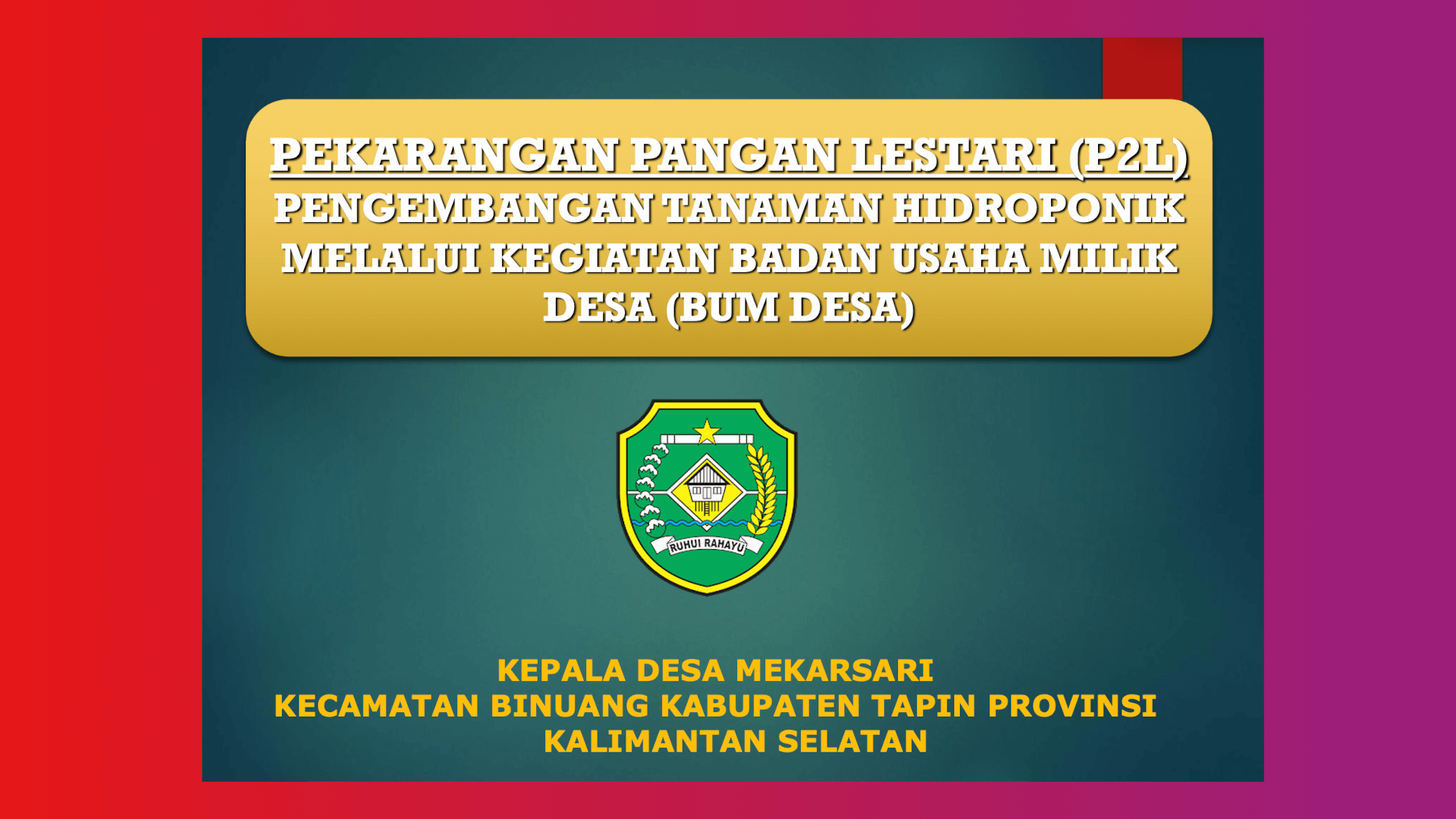 Kepala Desa Mekarsari Kecamatan Binuang Kabupaten Tapin Provinsi Kalimantan Selatan
