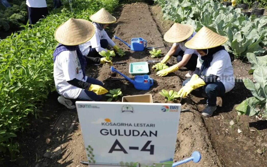 Maksimalkan Sumber Gizi Lokal, Ibu-ibu di Surabaya Kembangkan Urban Farming